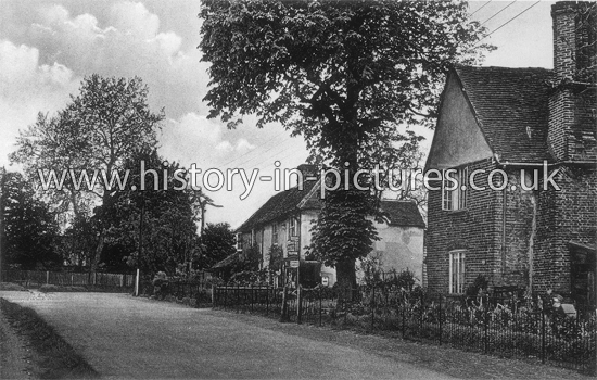 The Coffee House and Post Office, Sandon, Essex. c.1920's
